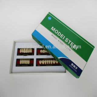 Un diente dental de acero PVC compatible con Japón MODEI