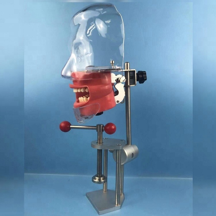 Equipo de laboratorio / momodel de cabeza fantasma dental compatible con Nissin