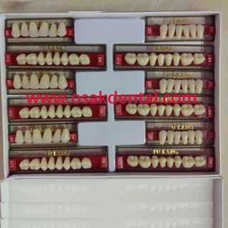 Calidad europea de tres capas de dientes falsos dentales / dientes sintéticos dentales / dientes de resina acrílica dental