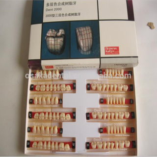 A Dental Heraeus 2000 Tres colores de capa Dientes de resina compuesta