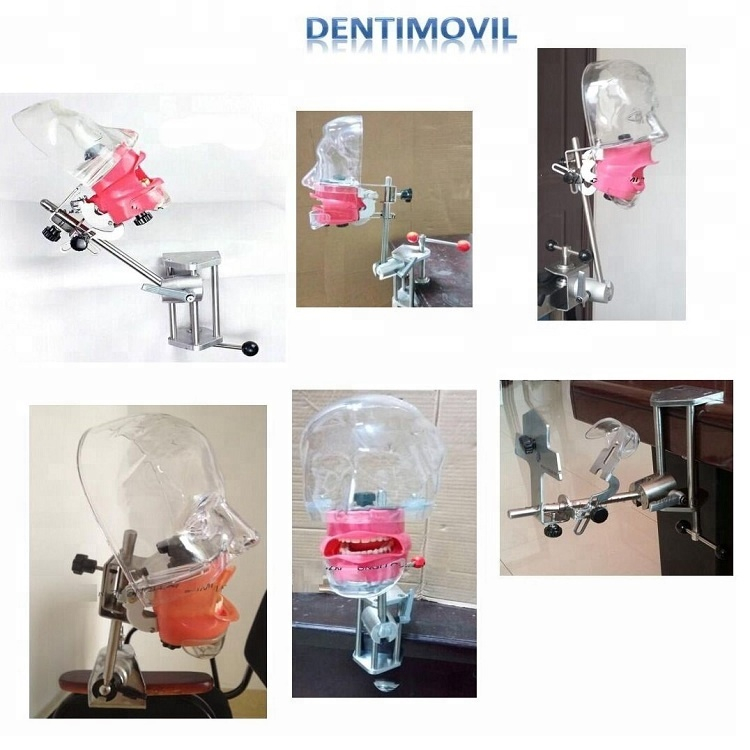 Equipo de laboratorio / momodel de cabeza fantasma dental compatible con Nissin