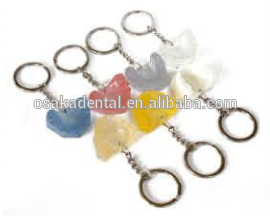 Llavero para dentaduras postizas / decoración dental / regalos dentales / productos culturales dentales
