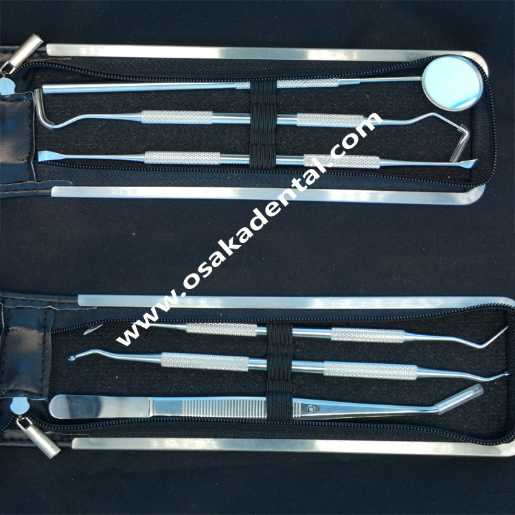 Instrumento dental de 6 piezas de un juego / Instrumento para el cuidado de la dentadura / Proceso de curado dental del equipo
