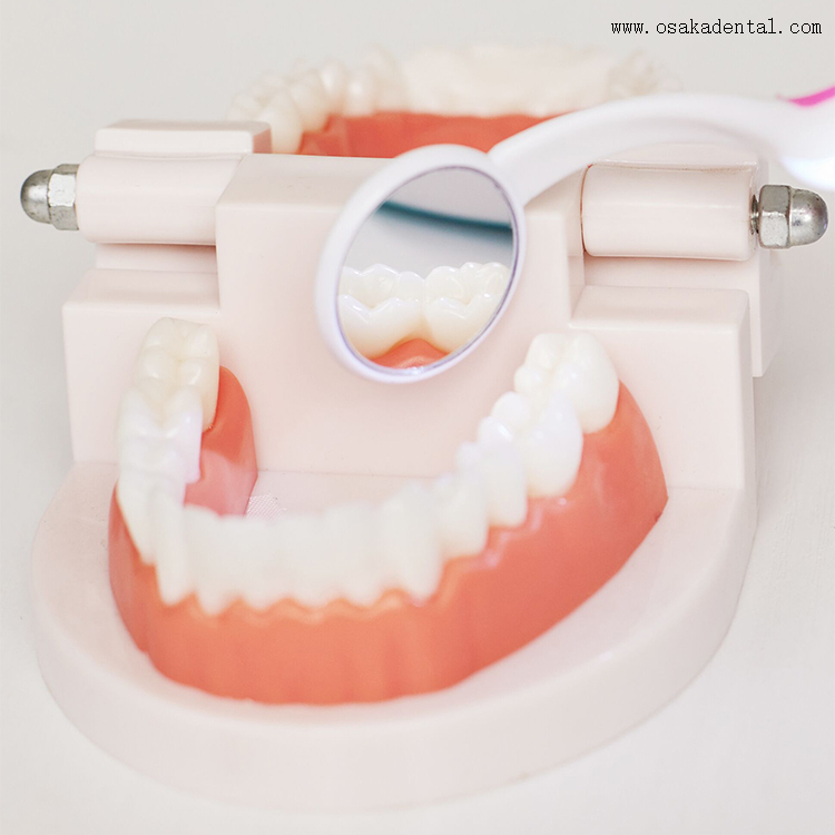 Espejo dental desechable con luz