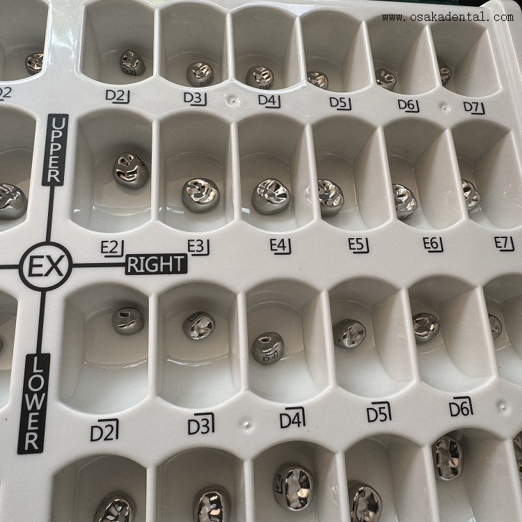 Corona dental para niños de acero inoxidable, 48 unidades/caja