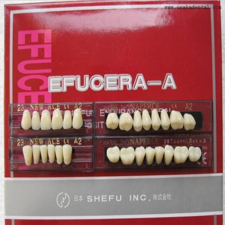 Dientes de resina dental con 6 juegos completos en una caja