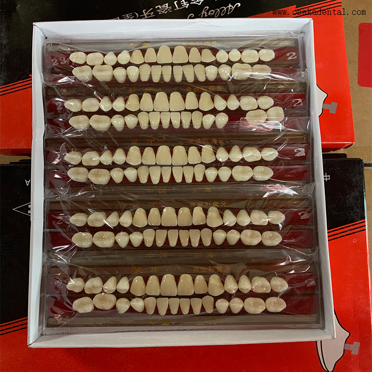 Dientes de resina acrílica dental de material compuesto