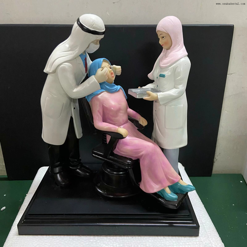 Modelo Dental de precisión con material de resina, forma de modelo de dentista para decoración de clínica Dental