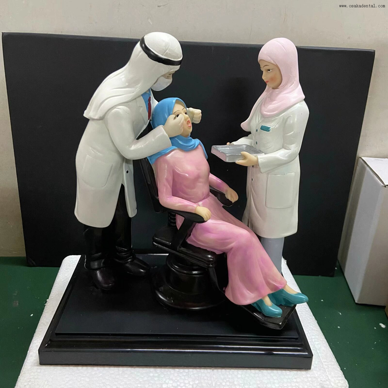 Modelo Dental de precisión con material de resina, forma de modelo de dentista para decoración de clínica Dental