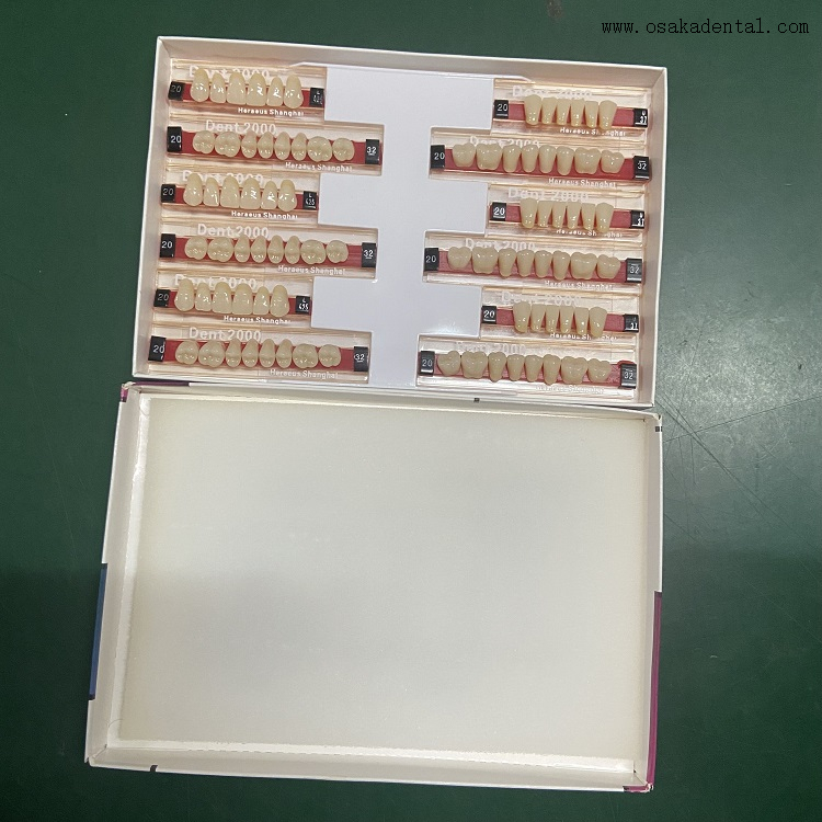 Dental Heraeus 2000 Dientes de resina