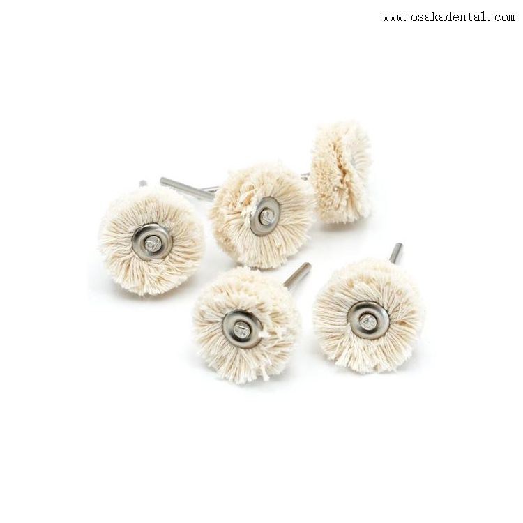 Cepillos pequeños para pulido dental con mango