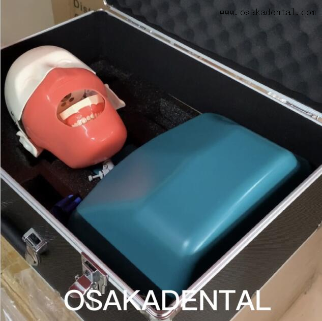 Maniquí de práctica de simulación dental con torso para enseñar a estudiantes