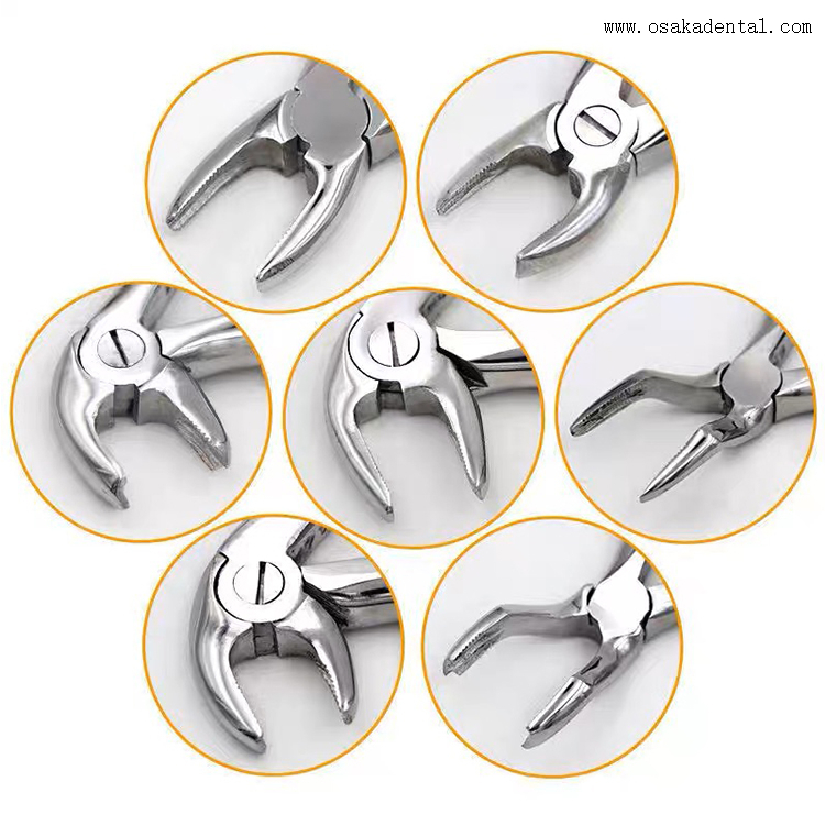 Instrumento dental Kit de fórceps de ortodoncia dental