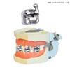 Soporte dental ortodóntico Soporte de auto-bloqueo dental Soporte de autoligación dental (la mejor calidad)