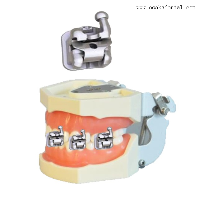 Soporte dental ortodóntico Soporte de auto-bloqueo dental Soporte de autoligación dental (la mejor calidad)