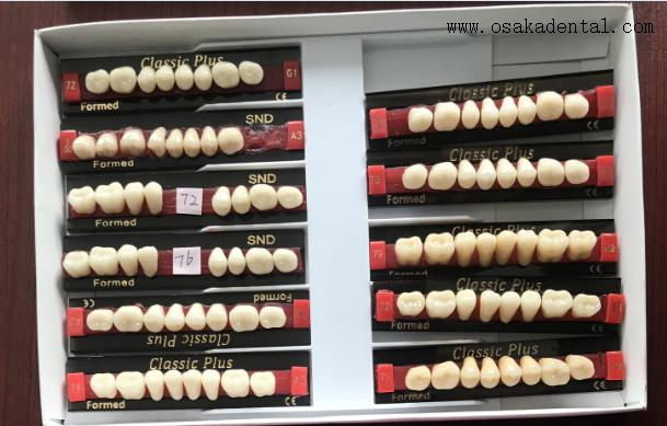 Dientes de resina dental de calidad europea dientes traseros Osa-dientes-UE