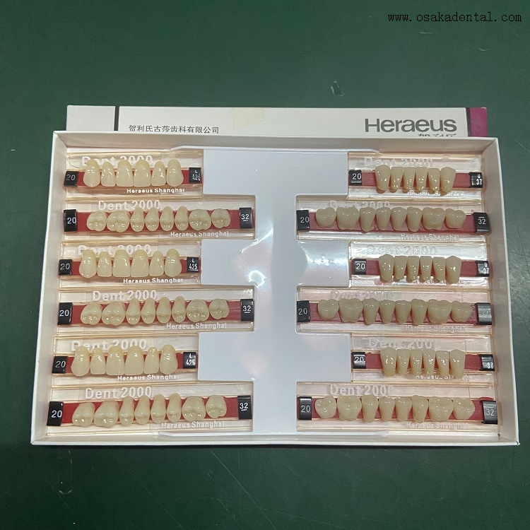 Dental Heraeus 2000 Dientes de resina
