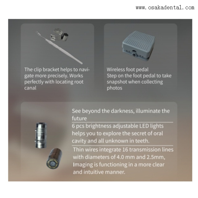 Micro cámara bucal dental 