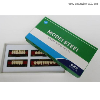 Dientes dentales de resina de acero-acero OSA-A2-Dientes1