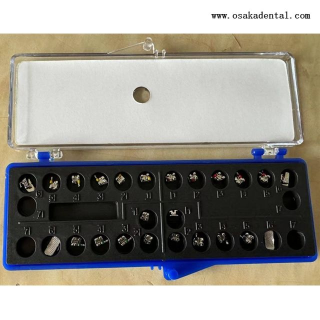 Mini soporte de base de malla con tubo bucal adherible