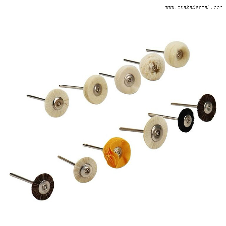 Cepillos pequeños para pulido dental con mango