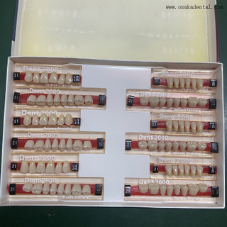 Dental Heraeus 2000 Dientes de resina