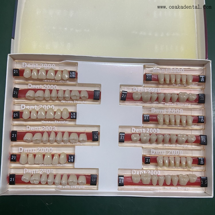 Dental Heraeus 2000 Dientes de resina