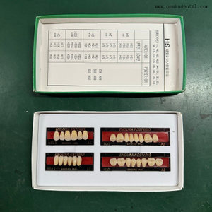 Dientes de resina dental de calidad europea Dientes delanteros/dientes posteriores OSA-Teeth-EU