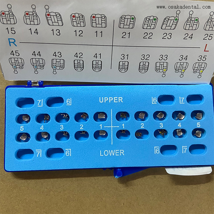 Soporte de metal con base de malla de ortodoncia dental