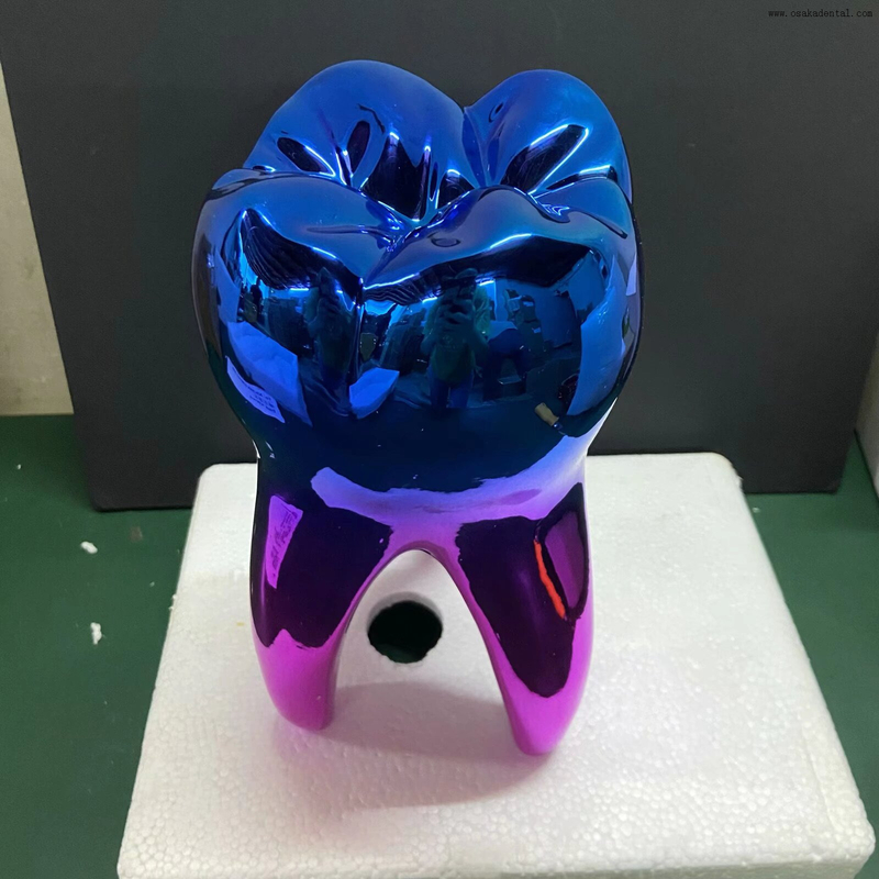 Escultura de diente de resina 3D - Decoración de arte dental moderno para clínica dental