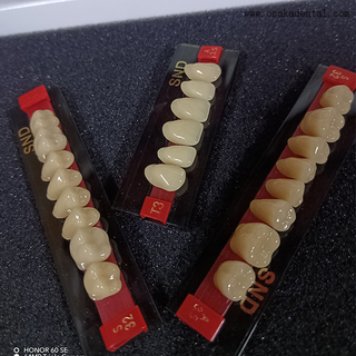 Dientes de resina de dos tonos de alta calidad para dentaduras postizas de aspecto natural