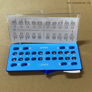 Soporte de metal con base de malla de ortodoncia dental