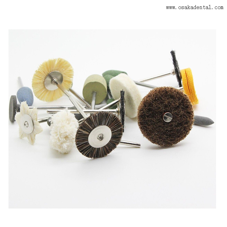 Cepillos pequeños para pulido dental con mango
