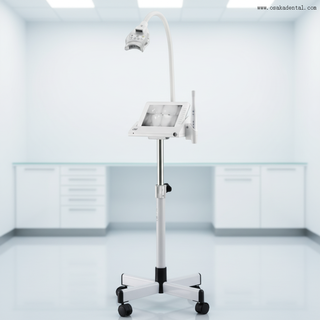 Máquina de blanqueamiento Dental LED profesional con intensidad de luz fría ajustable eliminación rápida de manchas cuidado bucal seguro