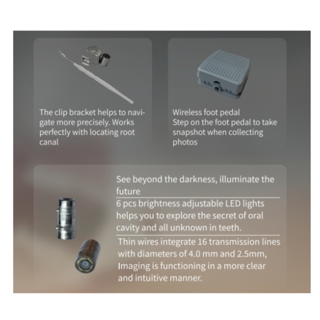 Micro cámara bucal dental.