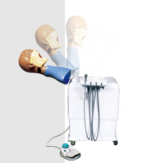 Un sistema de entrenamiento de simulación dental con maniquí dental con torso