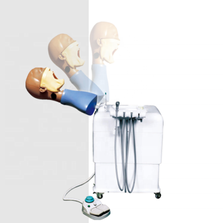 Un sistema de entrenamiento de simulación dental con maniquí dental con torso