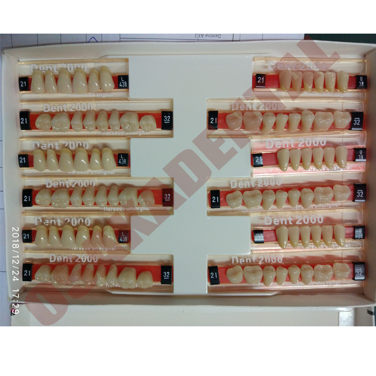 Calidad europea de tres capas de dientes falsos dentales / dientes sintéticos dentales / dientes de resina acrílica dental