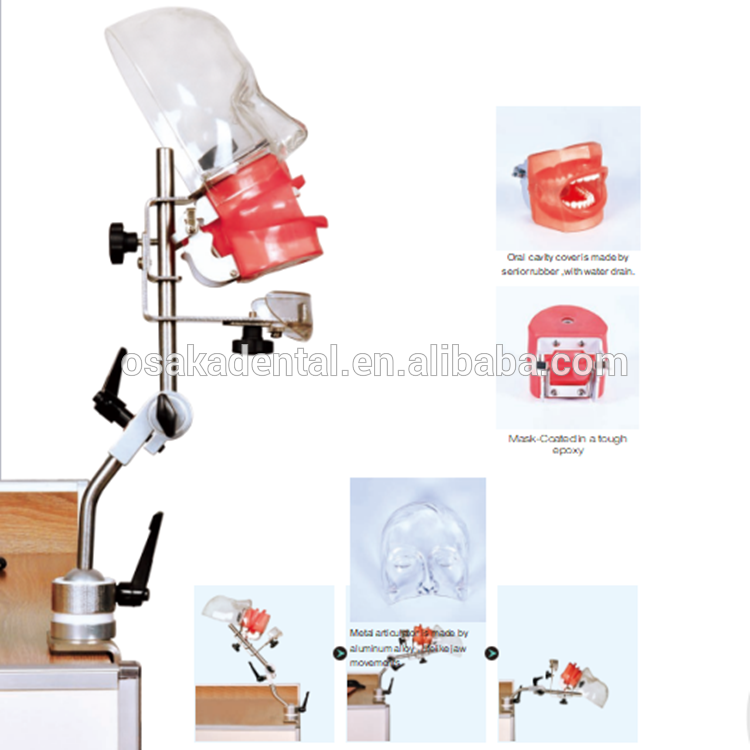 Un maniquí dental simple con drenaje de agua