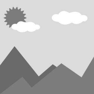 Limas Niti desechables especiales dentales